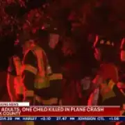 Child among six killed in plane crash over dense woodland