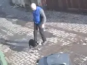 Darlington man banned from keeping dogs after kicking blind pet