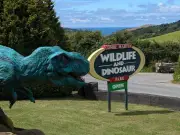 Devon wildlife park faces imminent closure without rescue deal