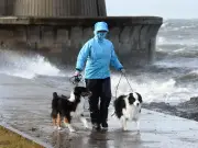 Dog walkers warned to skip walks as Storm Boelo brings 80mph gusts