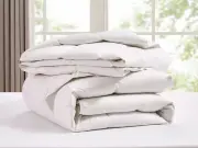 Dusk Shoppers Rush to Buy Reduced Goose Down Mattress Topper