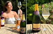 Expert reveals £12 Crémant as top Champagne alternative