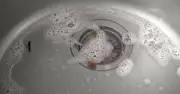 Experts recommend washing-up liquid to unblock smelly drains
