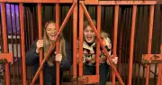 Farmaggedon Review: Five Terrifying Mazes at Ormskirk's Hidden Gem