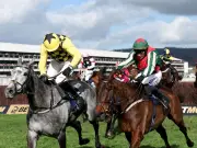 Final Demand disqualified from Cheltenham Festival race after drugs test
