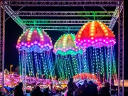 Free Lightpool Festival returns for 10th anniversary this half term