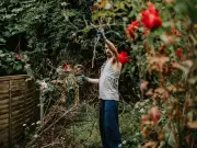 Gardener helps 89-year-old quoted £500 for 10-minute job