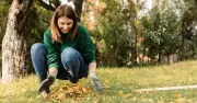 Gardeners urged to turn eggshells into calcium feed for plants