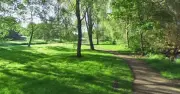 Girl, 16, raped after being approached by group of three males in park