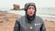 Harbour seal pups Sprite and Xana released into North Sea