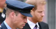 Harry's Reconciliation Plan with William Revealed