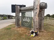 Health and safety probe launched after fatal tiger attack at Yorkshire Wildlife Park