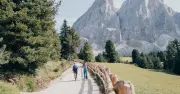 Italian Hotel Surprise: Silence and Ice Baths in South Tyrol