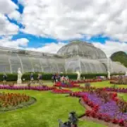 Kew's decaying Palm House at risk unless £66m renovation funded