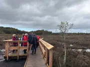 Lindow Moss boardwalk opens near Wilmslow after years of restoration work