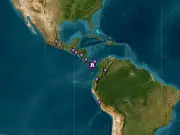 Magnitude 8 Panama Earthquake Sparks Tsunami Warnings