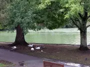 Man assaulted on bench at popular Cardiff park