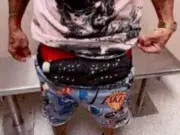 Man caught with 10 live birds stuffed down his pants at Miami airport