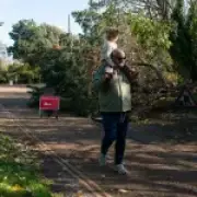Man in 60s killed by falling tree as Storm Boelo hits Scotland