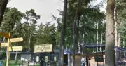 Man jumps into tiger enclosure at Yorkshire Wildlife Park, shots fired