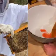 Meghan Markle shares rare video of Lilibet making jam and beekeeping