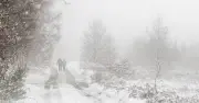 Met Office snow verdict as 'enormous' polar vortex forecast