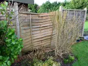 Neighbour won't replace fence? Legal expert explains your rights