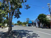 New Zealand's Scottish town Waipu hosts Highland Games yearly