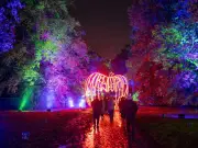 Nightmare Before Christmas light trail arrives at Arley Hall in Cheshire