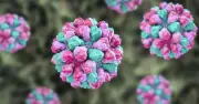 Norovirus outbreak forces closure of two wards at UK hospital