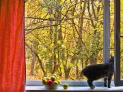 Open Windows Daily to Prevent Mould This Winter