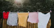Optimal 10am-2pm Window to Dry Clothes Outside in Autumn