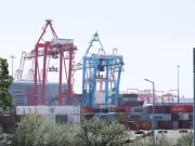 Pancake mix and sardines barred from Liverpool port