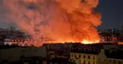Paris landmark Marché des Enfants Rouges 'totally destroyed' in huge fire