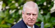 Prince Andrew faces fresh Epstein probe threat if Democrats win US House