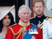 Prince Harry and King Charles' 'regular phone calls' exposed by royal expert