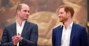 Prince Harry and William Estranged: Will They Reunite?