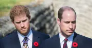 Prince William 'stopped caring' about Harry, source claims