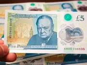 Puffin, owl, bumblebee and hedgehog to replace Churchill on Bank of England notes