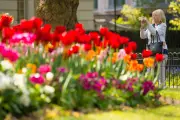 Richmond named London's most peaceful borough in new study