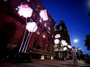 River of Light 2026: Flower Power installation wows crowds at Liverpool festival
