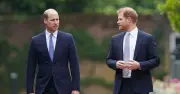 Royal expert: Harry and William rift 'never going back' to how it was