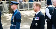 Royal expert suggests 'workman-like solution' for Harry and William feud