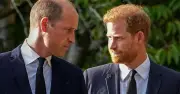 Royal plan for Harry-William reunion dubbed 'mistake' by commentator
