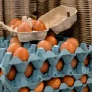 Salmonella warning on Ukrainian eggs sold in UK