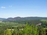 Scottish estate seeks housekeeper and chef couple with cottage