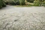 Severe drought declared in parts of England as supplies under pressure