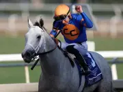 Six-time Breeders' Cup champion jockey Irad Ortiz out with broken leg