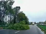 Storm Boelo chaos as trees fall on roads and railways