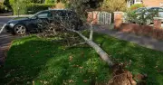 Storm Boelo leaves 82,000 homes without power amid 80mph winds